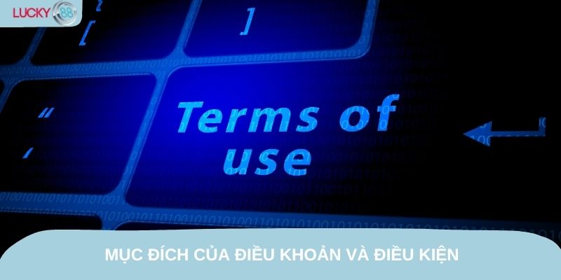 Mục đích của Điều khoản và Điều kiện là hướng tới sự công bằng
